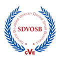 Service Disabled Veteran Owned Small Business.